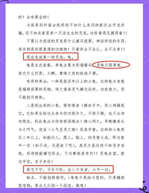 乌龟养几年以上通灵:乌龟养多久会有“灵性”