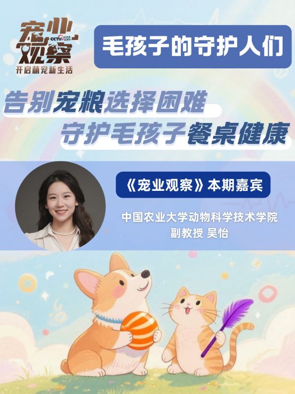 图说|如何健全宠物营养标准体系,帮你告别宠粮“选择困难症”?