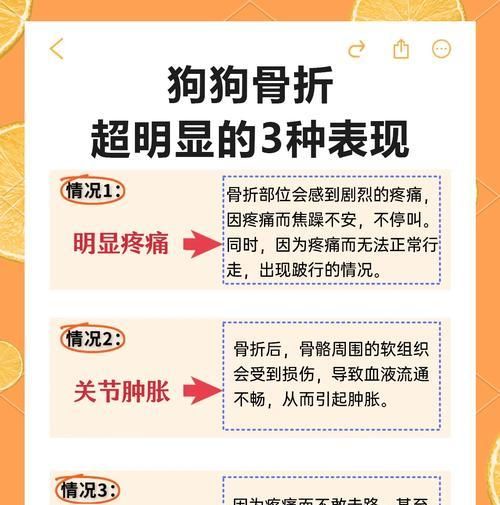 幼犬骨折康复时间解析(骨折康复的关键因素及幼犬骨折恢复的时间预估)