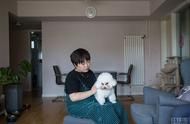 宠物保健品,解析其背后的心理需求
