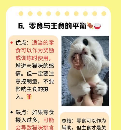 猫的排便频率与健康