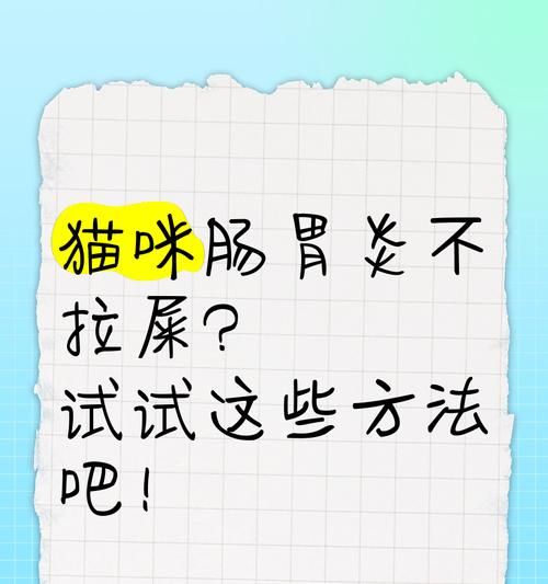 猫的排便频率与健康