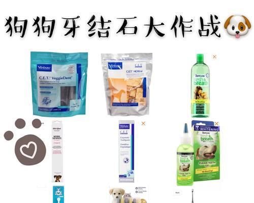 狗狗骨骼生长周期与停止生长时间的研究(探究狗狗骨骼生长停止的时间和影响因素)