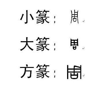 给宠物起名姓氏怎么取