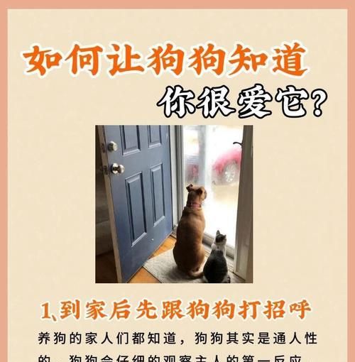 如何确定狗狗每天的饮食频率和饱食度？（掌握狗狗饮食规律，确保健康成长）