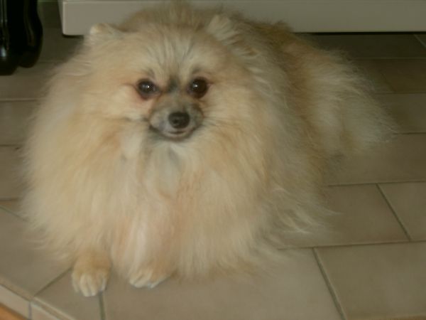 20051122145991027.jpg