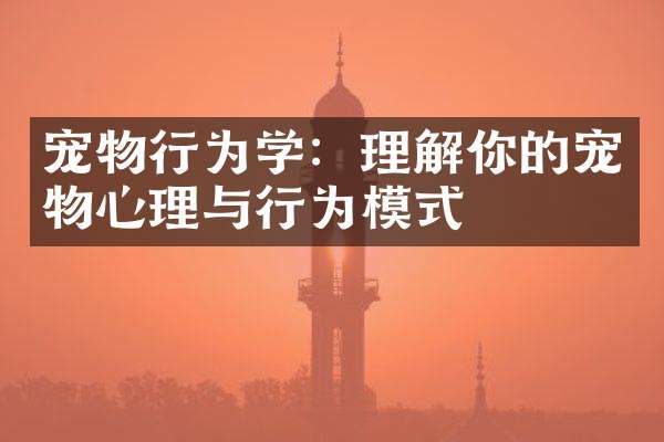 宠物行为学:理解你的宠物心理与行为模式