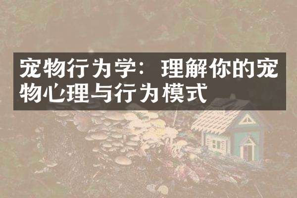 宠物行为学:理解你的宠物心理与行为模式