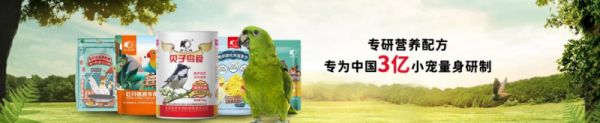开元鸟食获尚普咨询认证“中国宠物鸟食开创品牌”,实力领跑行业