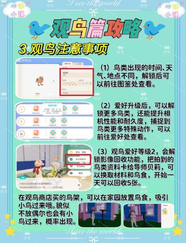 心动小镇观鸟爱好解锁攻略 心动小镇鸟分布图鉴[多图]图片4