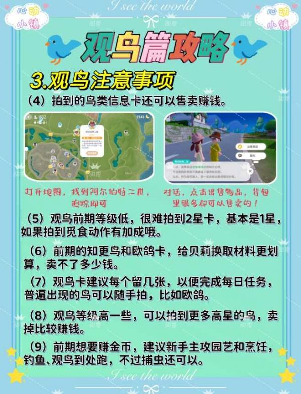 心动小镇观鸟爱好解锁攻略 心动小镇鸟分布图鉴[多图]图片5