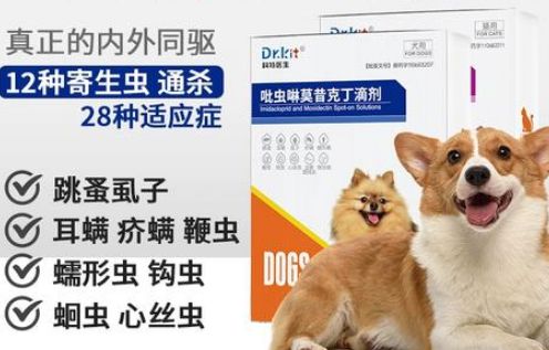 科特医生宠物用品的基本介绍!快来看!