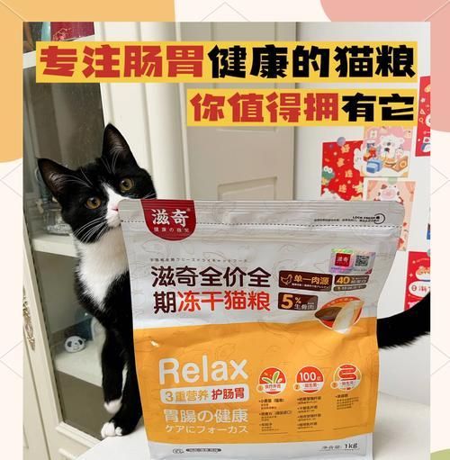 加菲猫肠胃敏感应选哪种猫粮?哪些品牌更推荐?
