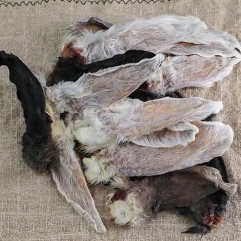 Custom Organic Freeze-Dried Dog Treats Clipable Rabbit Ear Dog Chews with Chicken Taste Dried Meat Pet Snack