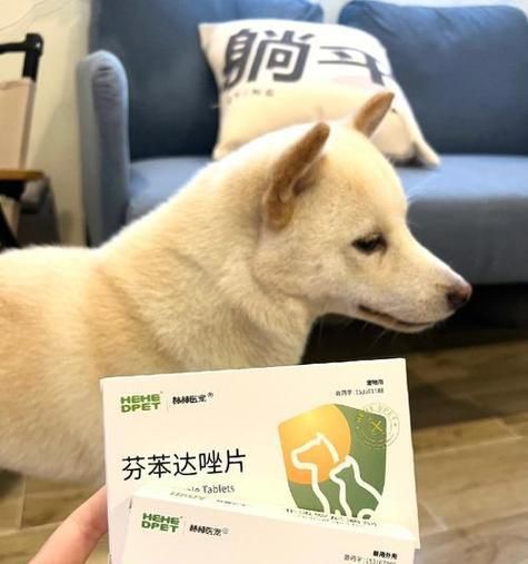 进口打虫药的种类及适用范围(探索进口打虫药的多样性及其对人类健康的重要性)