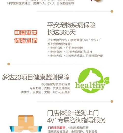 比熊犬的标准体重是多少?(了解比熊犬的正常体重表)
