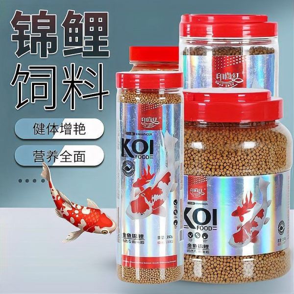 好鱼粮一般建议买什么鱼,养鱼必备!优质鱼粮适配鱼类