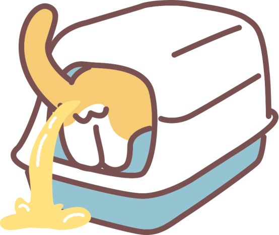 猫咪软便拉稀