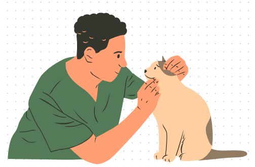 猫咪软便吃什么药