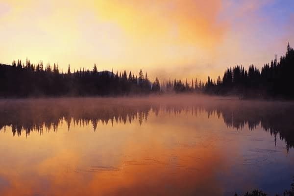 比熊犬喝水频率高吗为什么,比熊犬喝水频率高吗为什么呢