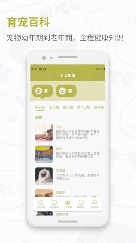 爱宠日记 2