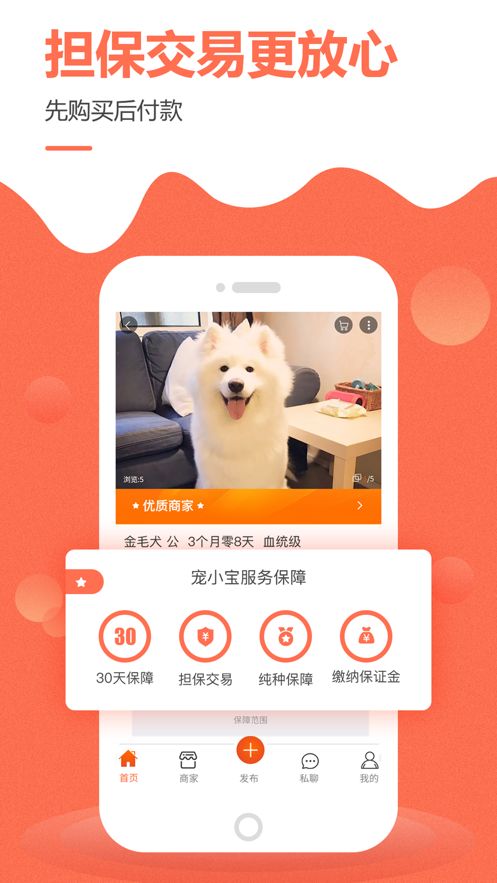 宠小宝 2