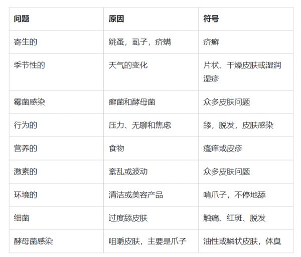 狗狗常见皮肤干燥问题及解决方案