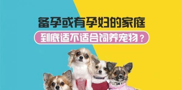 家里养狗对婴儿的影响(宠物狗是婴儿的最佳伙伴)