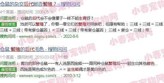金丝熊繁殖后代颜色表