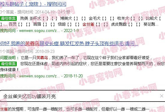 金丝雀失忆后by罐装月亮