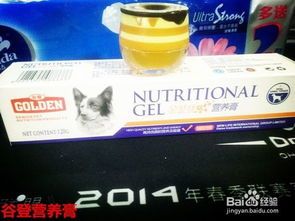 宠物狗营养品怎么喂好