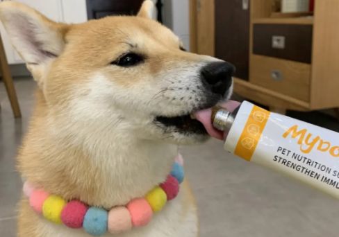 狗狗营养膏排行