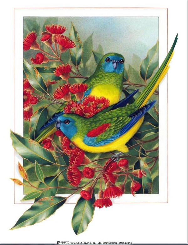 可爱小鸟装饰画