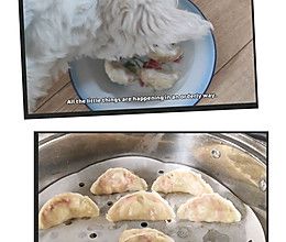狗饭/熟自制/狗狗蒸饺/狗狗饺子的做法