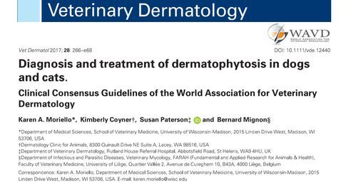 犬顽固性皮肤病:诊断与治疗指南