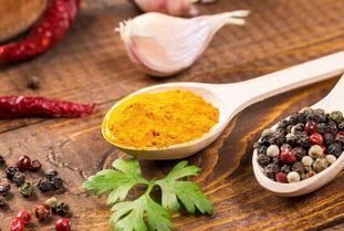 宠物狗便便不成形,调整饮食与消化。