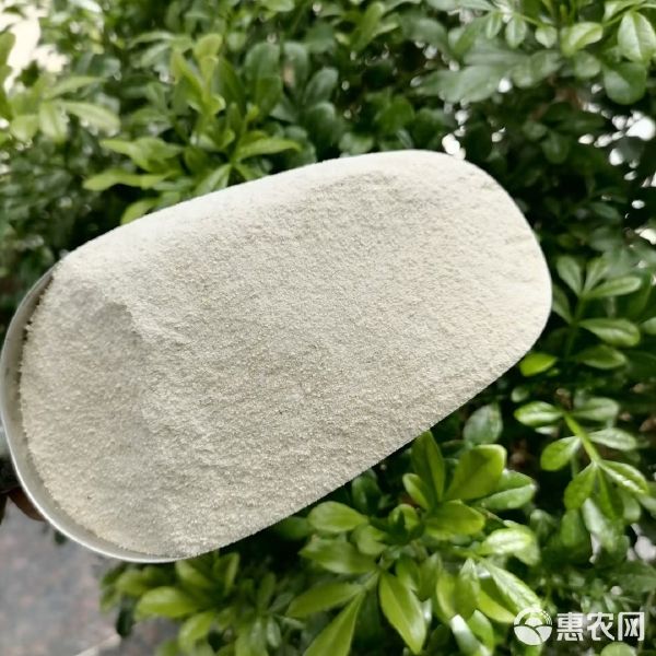 大米蛋白粉 高蛋白饲料 宠物饲料 水产养殖 畜禽添加饲料