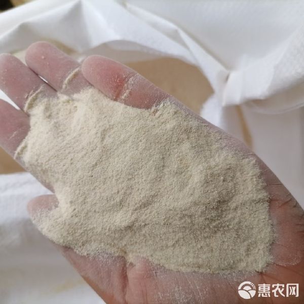 大米蛋白粉 高蛋白饲料 宠物饲料 水产养殖 畜禽添加饲料