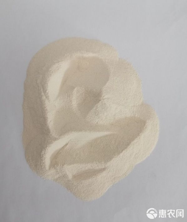 大米蛋白粉 高蛋白饲料 宠物饲料 水产养殖 畜禽添加饲料