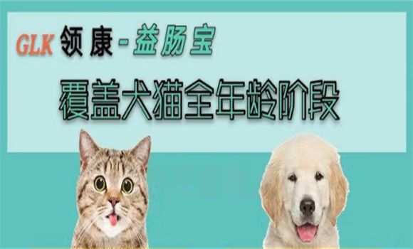 宠物肠胃闹脾气?领康科诺宠仕益肠宝给出科学答案