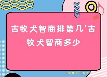 古牧犬智商排第几,古牧犬智商多少