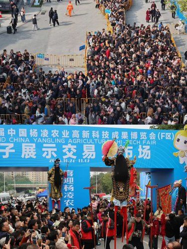 今日开幕!第32届杨凌农博会最全攻略来了