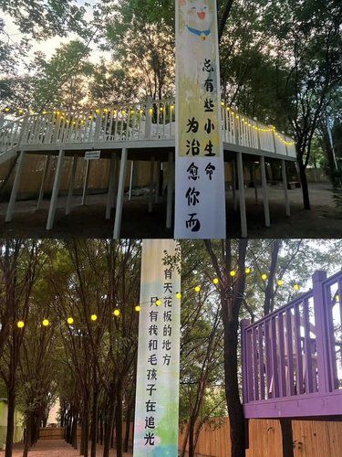 周末探索新去处~