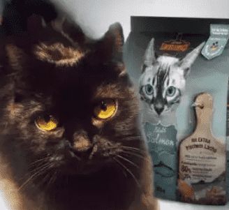 海大集团旗下宠物食品公司海瑞特强势进入宠物饲料领域