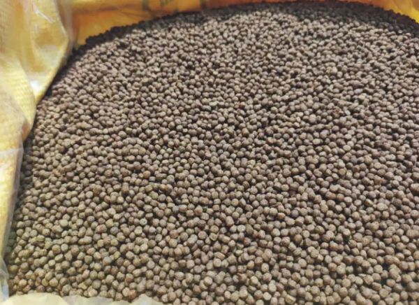 鱼饲料:水族世界的能量之源