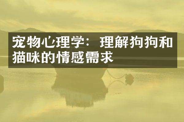 宠物心理学:理解狗狗和猫咪的情感需求