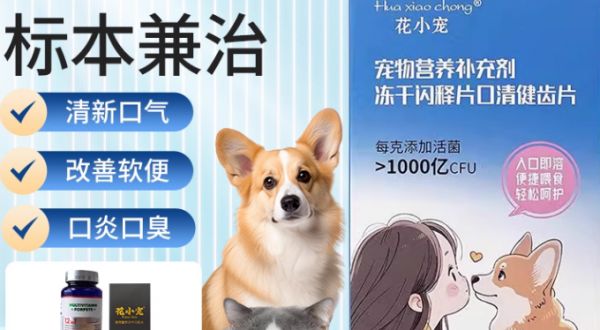 宠物营养补充剂哪个品牌好?花小宠——宠物口腔与肠胃的双重守护
