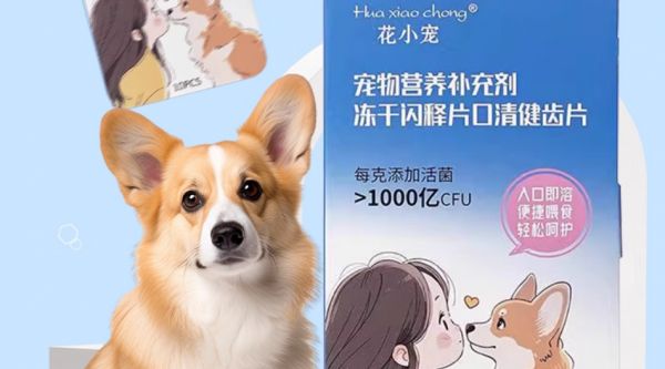 宠物营养补充剂哪个品牌好?花小宠——宠物口腔与肠胃的双重守护