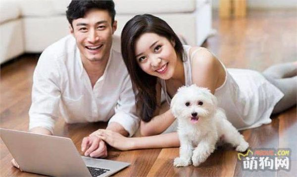 狗狗的日常护理 狗狗的生活日常护理应该怎么做?