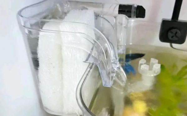 鱼缸过滤器的介绍,你们了解多少?